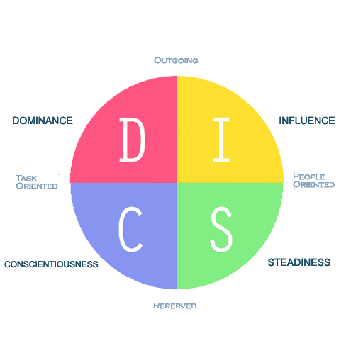 Personality and DISC Profile