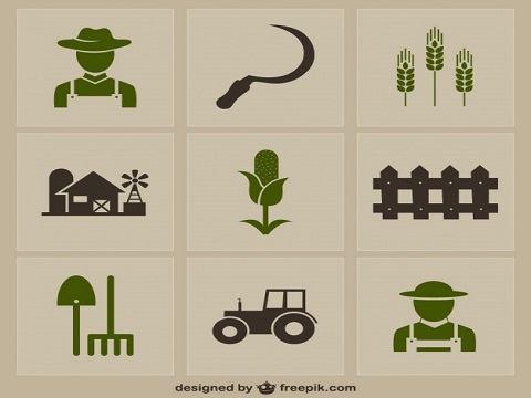 Agribusiness Systems