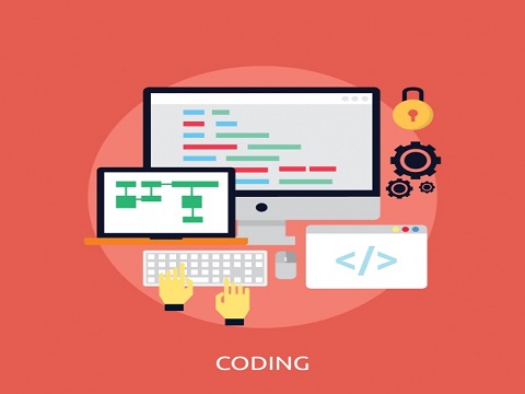 Programming and Software Development